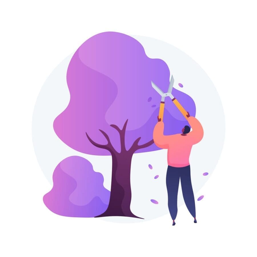 The Content Garden Overgrown Why Pruning Might Be Your Small Business Website SEO Saviour